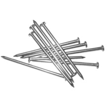 Stainless Steel Nail